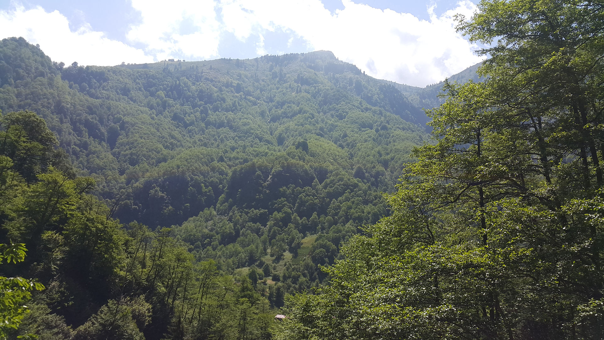 Manzara