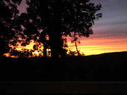 Perfect Place for a Wedding