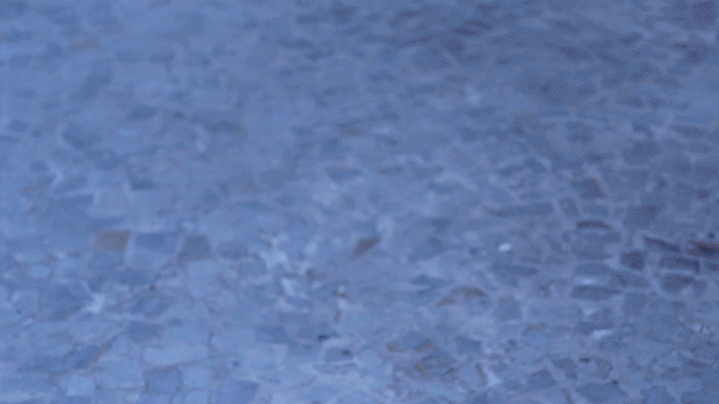Toa_Bombalanço_sitelana_B.gif