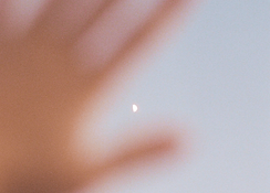 000139140005 2.png