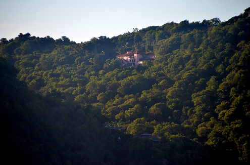 DSC_5777_edited_edited.jpg