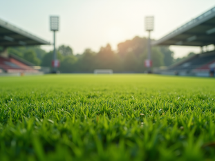 Lawn Care Tips for Southampton Sports Grounds