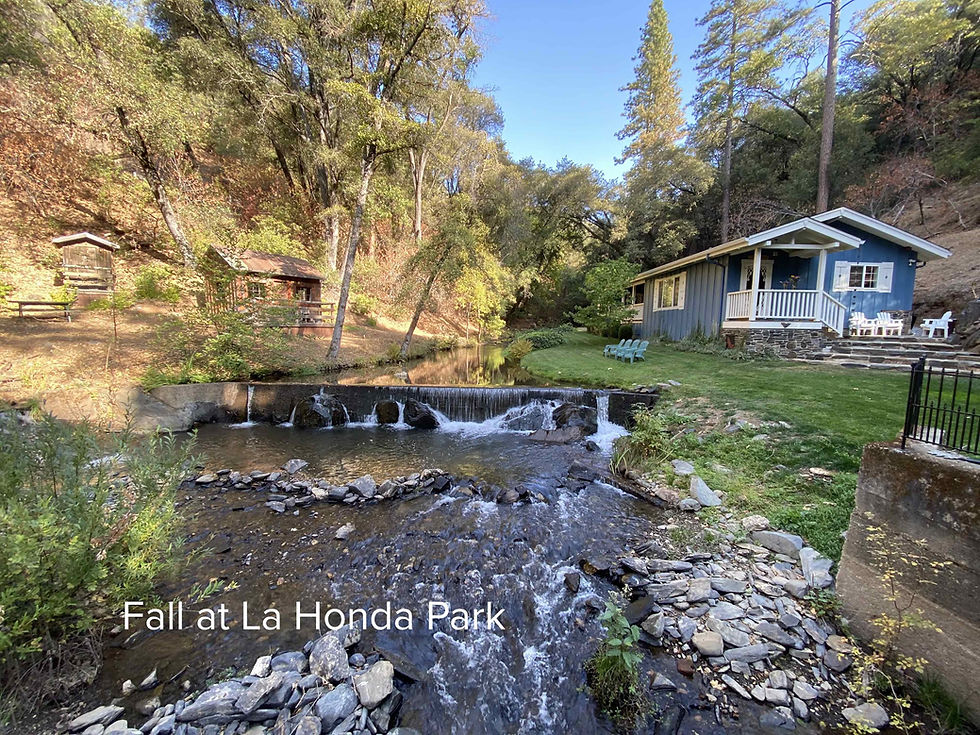 Creek Fall at La Honda Park
