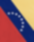 Venezuelan flag