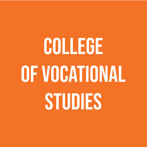 COLLEGE OF VOCATIONAL STUDIES.jpg