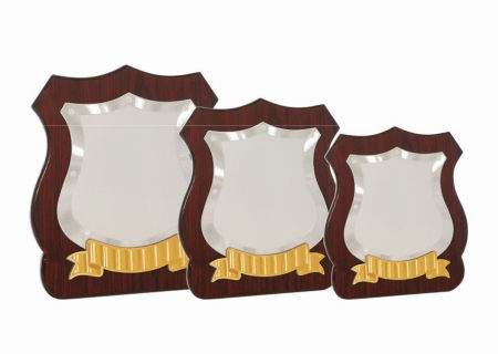 EW- CP 2 W-ROD M-10.5" (HYBRID TROPHIES)