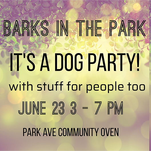 Dog Days of Dartmouth Barks in the Park Party