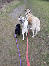 20180313_152130.jpg