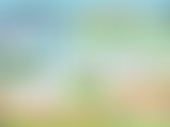 子どもの運動能力は“公園の遊び方”で決まる