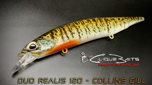 COLLINS GILL - (Duo 100 or 120)