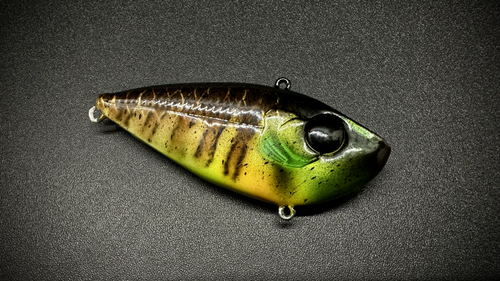 RED-EYE BLUE-GILL - Image 2