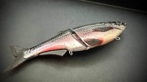 HINKLE SHAD JR. CLONE - GIZZARD SHAD - Image 5