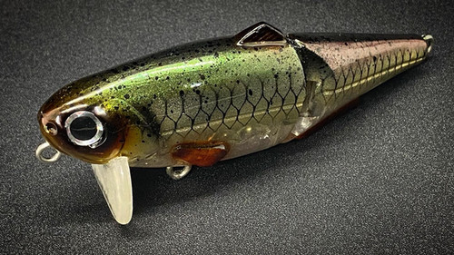 IAN'S WAKE (HURRICANE) - Image 3