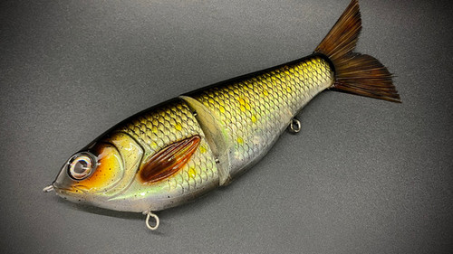 FLORIDA'S NATURAL GOLDEN SHINER