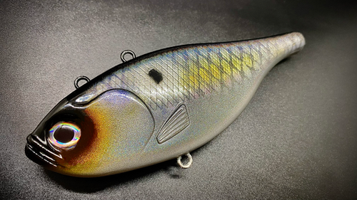 MEGA SHAD - BOSS BAIT