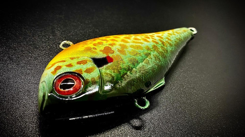 PUMPKINSEED RIP RAP - Image 3