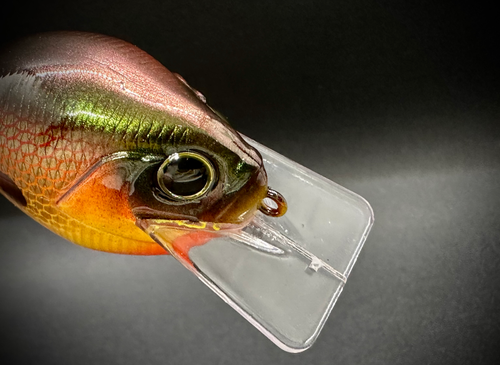 THE GIFT THAT KEEPS ON GIVING - Image 7