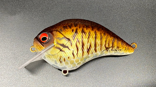 SMALL FRY - Image 2