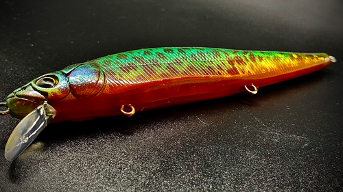 PUMPKINSEED - Image 2