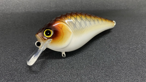 COPPER SHAD - Image 3