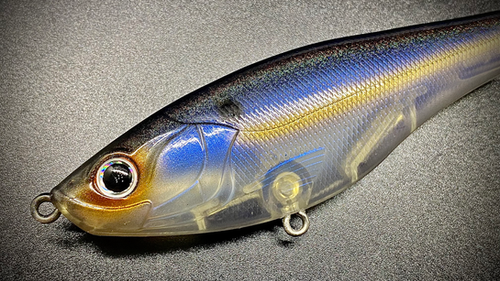 SULTRY SHAD PLOPPER