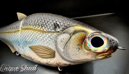 HINKLE SHAD CLONE - CLIQUE SHAD - Image 3
