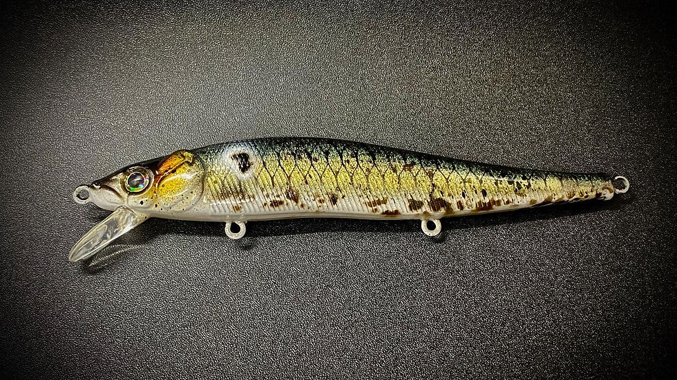 Clique Baits Custom Painted Lures