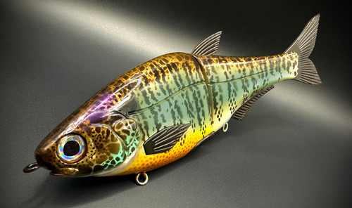 HINKLE SHAD JR. CLONE - COLLINS GILL - BLUEGILL - Image 3