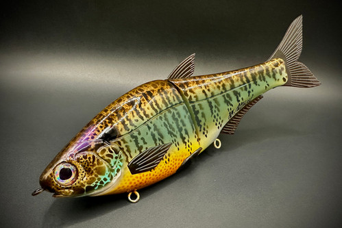 HINKLE SHAD JR. CLONE - COLLINS GILL - BLUEGILL