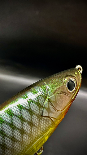 PERCHY PLOPPER - Image 4