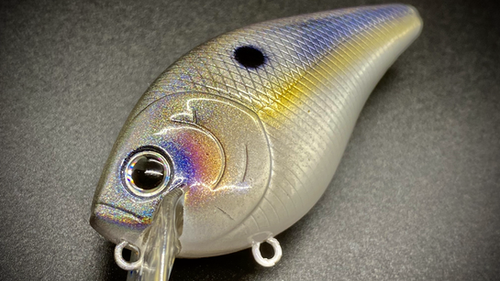 SHIMMER SHAD