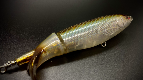 CRITTER - Image 4