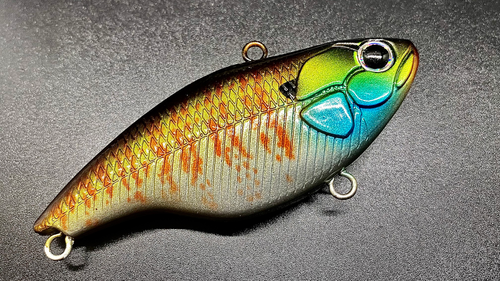 PALE GILL VIBER - Image 2