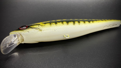 LITTLE LARGIE - Image 4