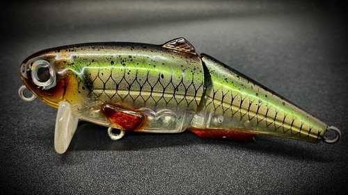 IAN'S WAKE (HURRICANE) - Image 4