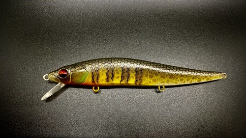 HYBRID GILL - Image 2