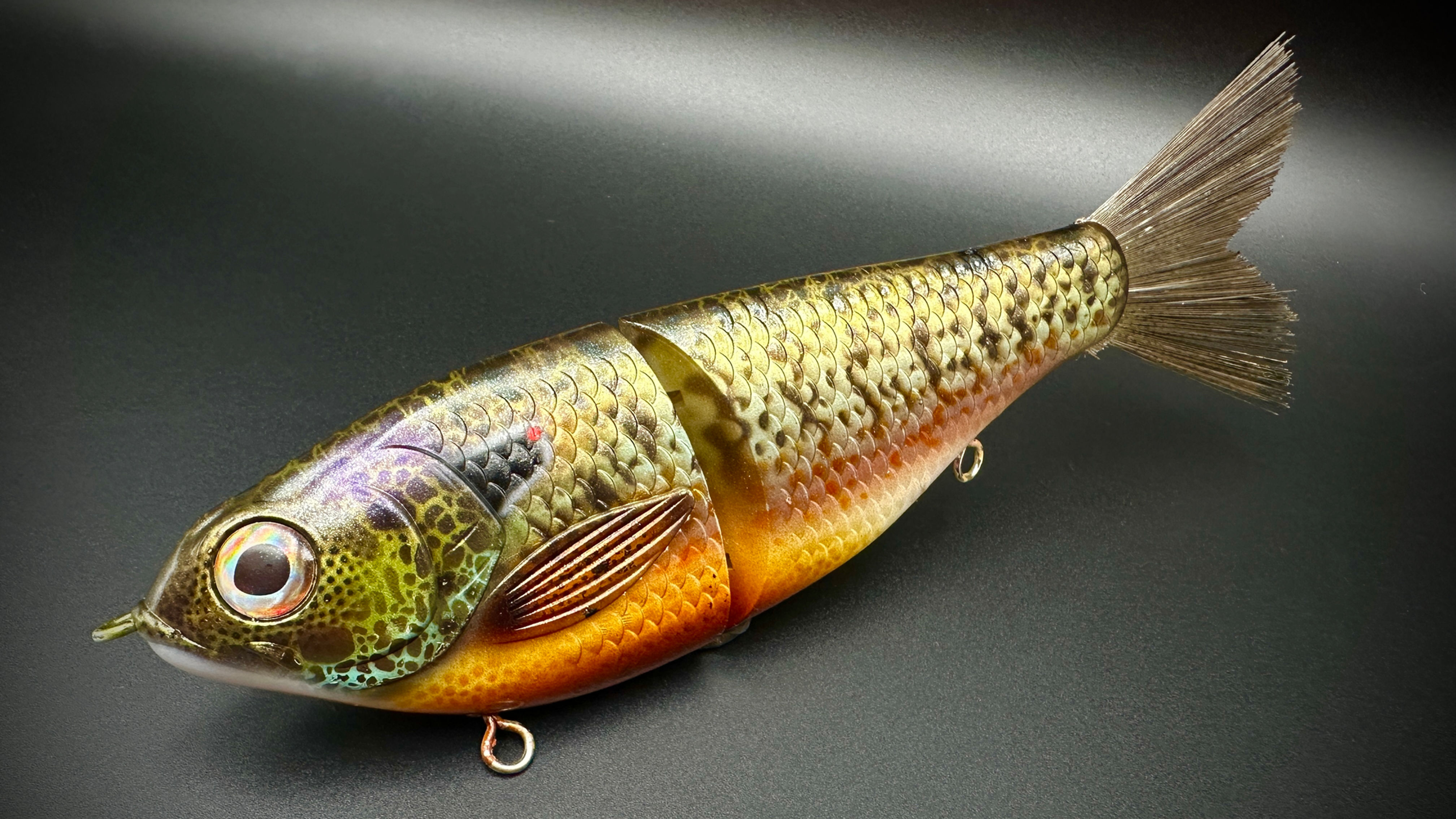 COLLINS GILL - BIG BELLY