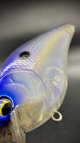 SULTRY SHAD - Image 3