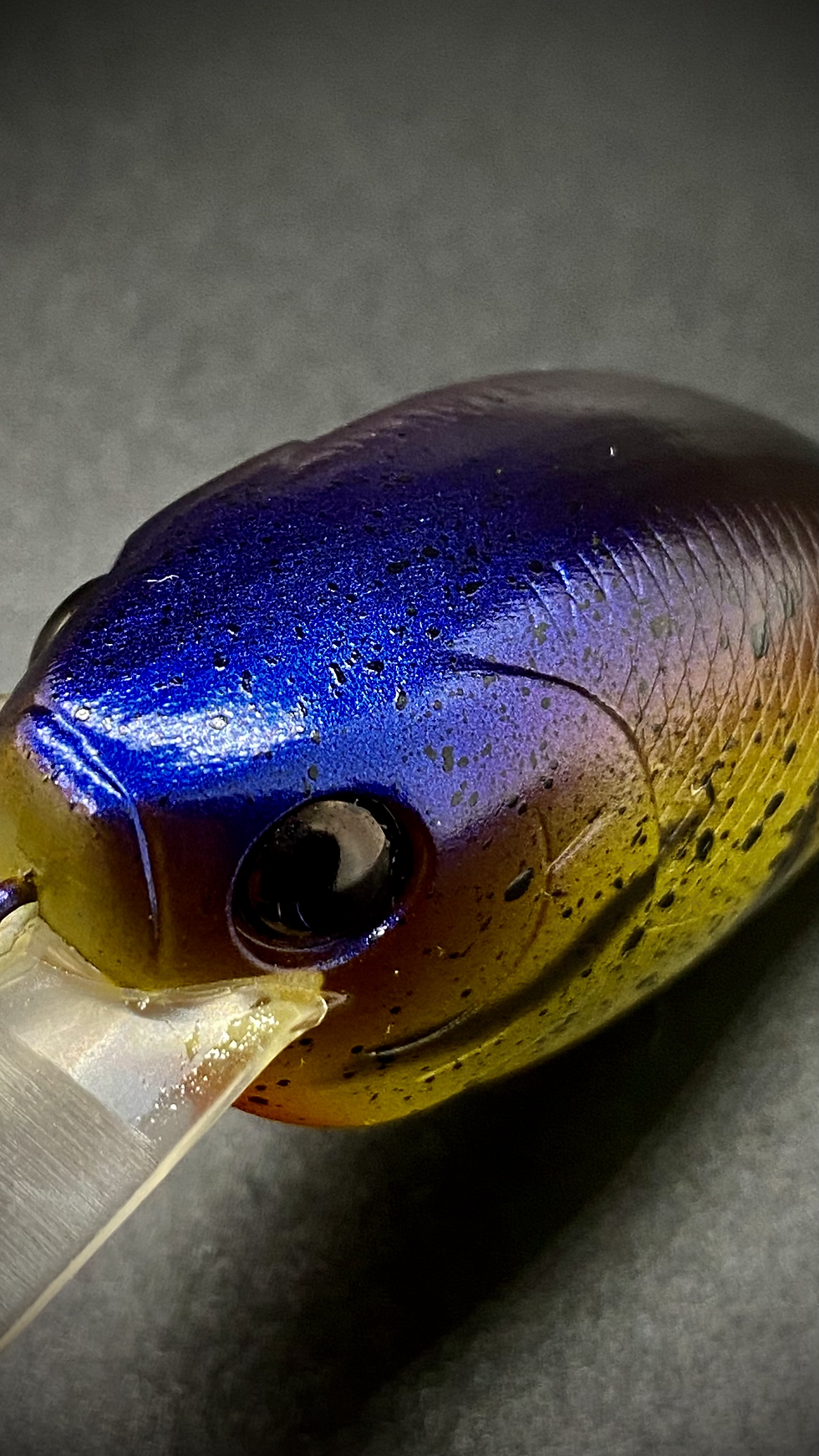 Thumbnail: YUM-YUM CRAW