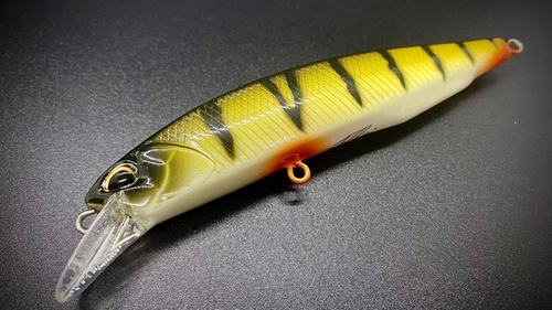 YELLOW PERCH 100SP