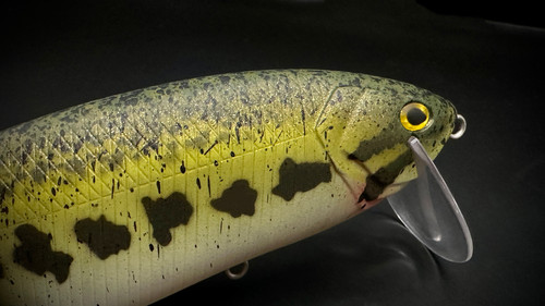 MATTE BABY BASS KLASHER - Image 5