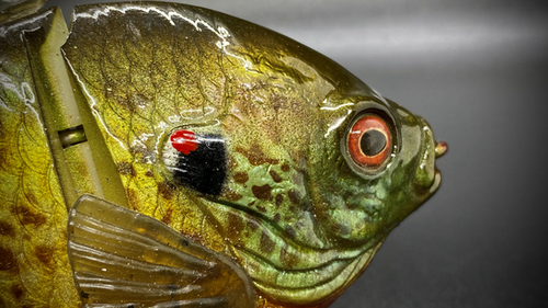 PBG aka "Personal Best Gill" #003 - Image 3