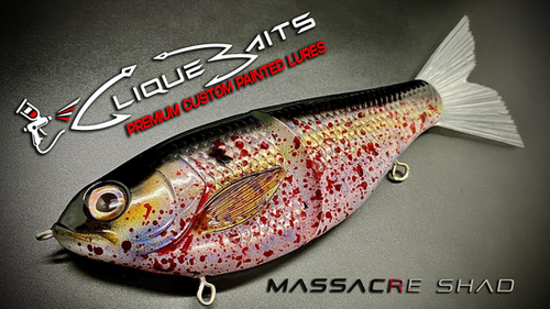 CHUM (MASSACRE) SHAD