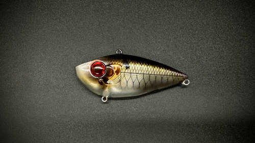 RED-EYE HAMMER SHAD - Image 2