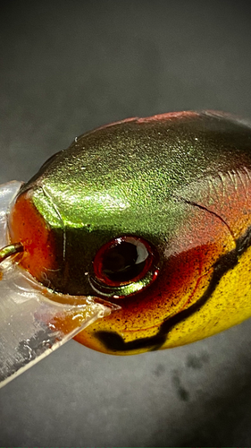 SRIACHA CRAW - Image 3