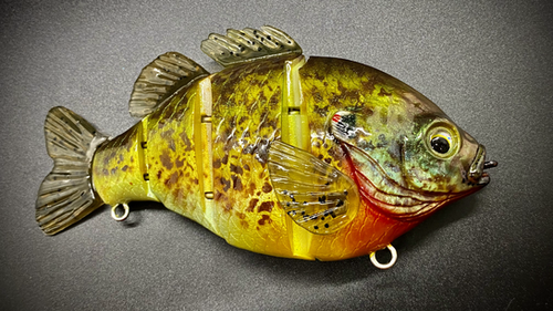 PBG aka "Personal Best Gill" #005 - Image 10