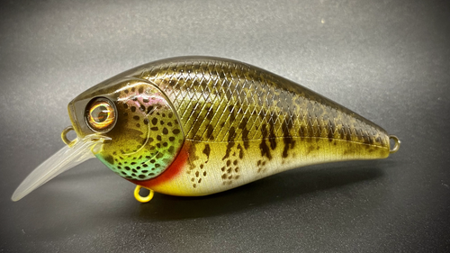 NATURAL COLLINS GILL - Image 2