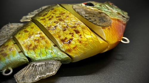 PBG aka "Personal Best Gill" #003 - Image 9