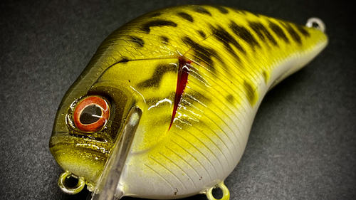 BABY BASS