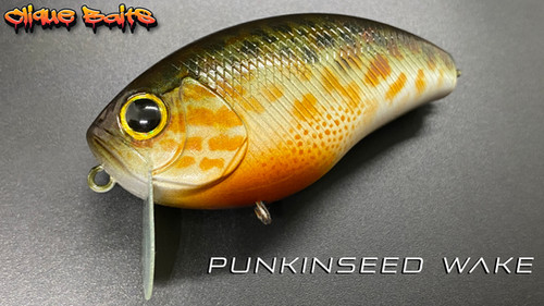 PUNKINSEED WAKE